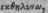 Ecthelynsis 3190