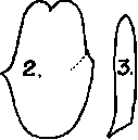 Paper Patterns May Be Bought To Use As Guide