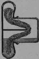 Fig. 37.   Longitudinal section through the body.