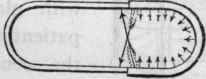 Baths Continued 262