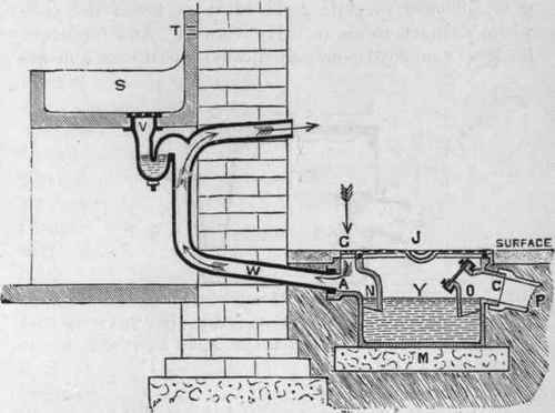 Fig. 148. Section of
