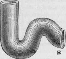 Fig. 98.   The 