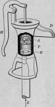Fig. 129.   Sectional drawing of the kitchen pump showing its working parts.