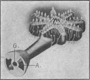 Fig. 180. Detroit Jewel one piece, star shaped burner.