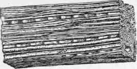 Edge Tools 8