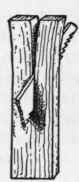 Effects of Expansion and Contraction of Timber 724
