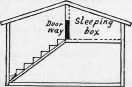 Squirrel House 196