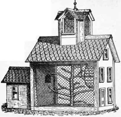 Squirrel House 197