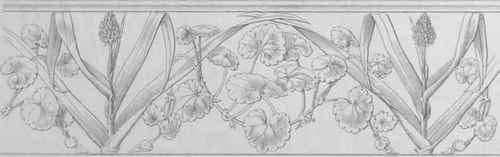 Ornaments adapted from Nature Plate C 521