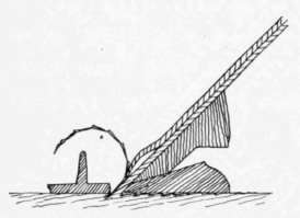 Fig. 23. Result of Using Plane with Improperly Adjusted Cap Iron.