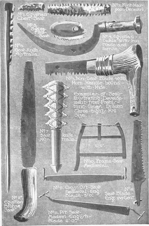 The Saw 123