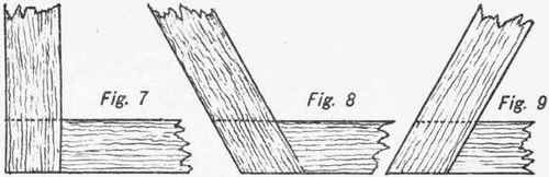 Halving 4
