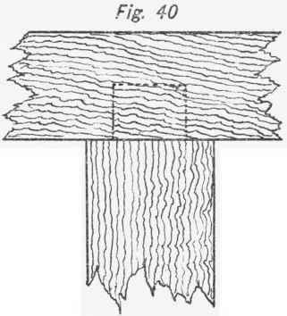 Mortise And Tenon Joint 20