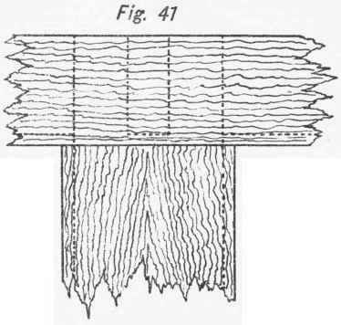 Mortise And Tenon Joint 21