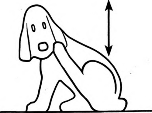 How To Whittle Fleas 131