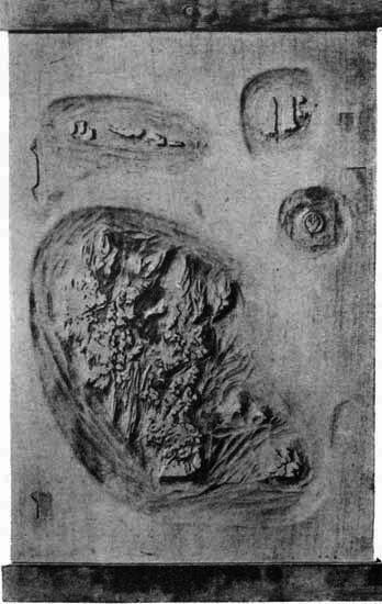 Plate IV