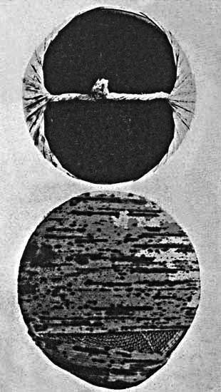 The Baren, Or Printing Pad