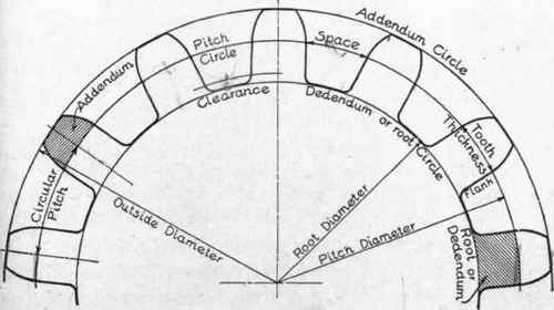 Fig. 2G1. Names of Tooth Parts