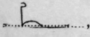 Brief W And Y Word Signs 367