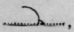 Brief W And Y Word Signs 373