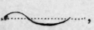 Double Length Strokes Joined Without An Angle 638