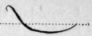 Double Length Strokes Joined Without An Angle 639
