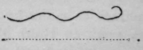 Lineality Etc 22