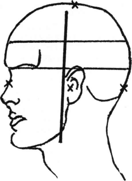 Brain receptors