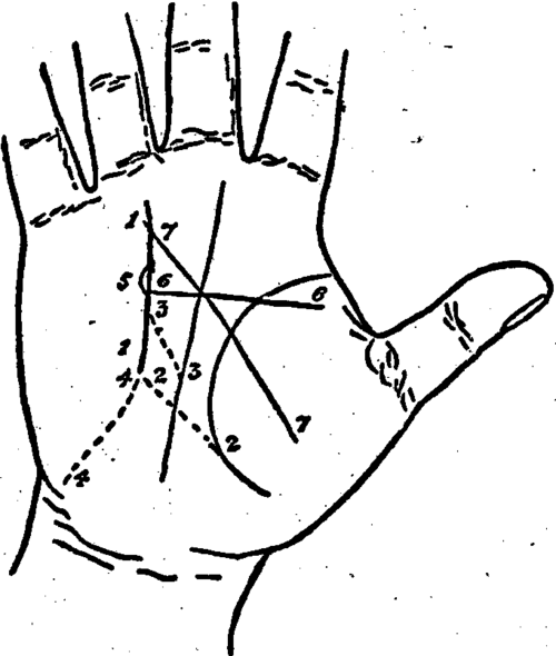 Plate XV. The Line Of Sun And Its Modifications.