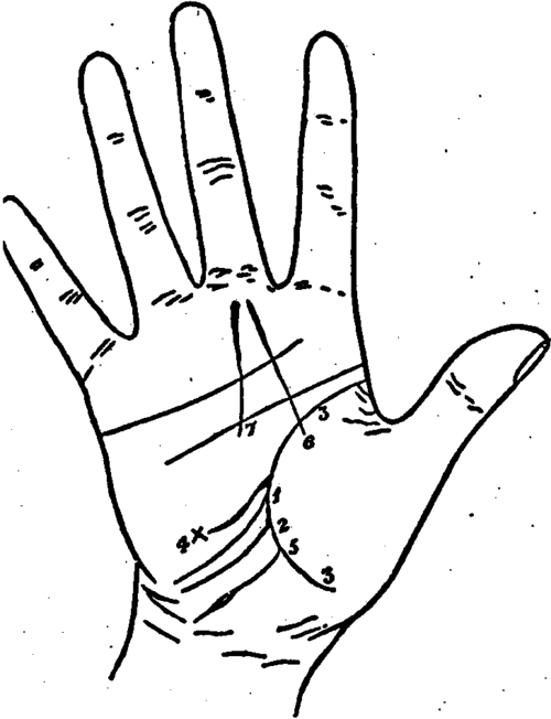 Plate XXI. Travels, Voyages, Accidents And Descending Lines From The Mounts.