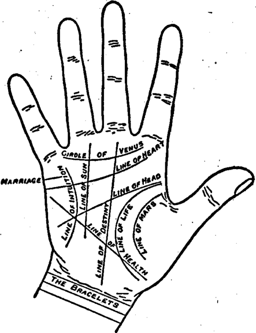 The Lines Of The Hand.