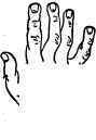 The Spatulate Hand