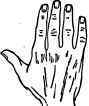 The Square Or Useful Hand.