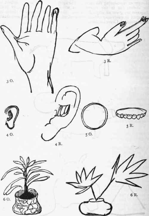 Appendix Sensory Automatism Part 24 10036
