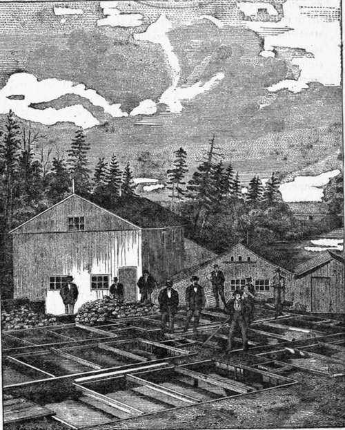 New York State Hatching House, At Caledonia, N. Y.