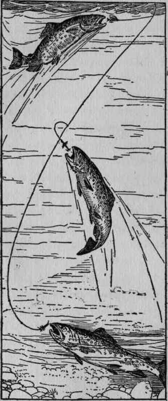 How trout take underwater creeper baits.