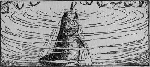 Library Of The Woodstock Club 48