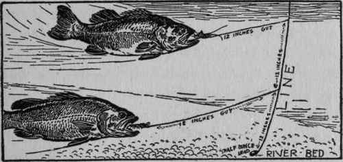 Lure fishing in deep water.