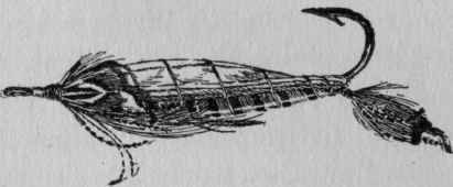 V Bottom Fish Food In Lakes In Relation To Why Tro 52