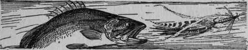 VIII A Descriptive Chart Plan Of Lake Where Fish A 60