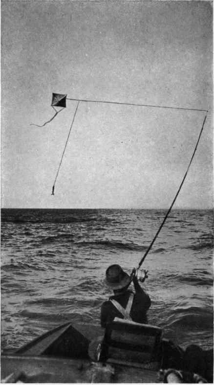 FISHING WITH A KITE.