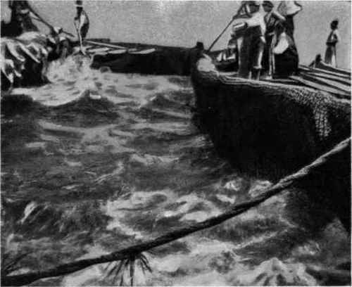 HAULING THE NETS, SICILY.