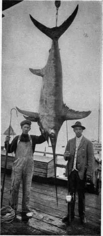 MR. JOHN V. ELIOT AND SWORDFISH. 5 hours and 7 minutes.