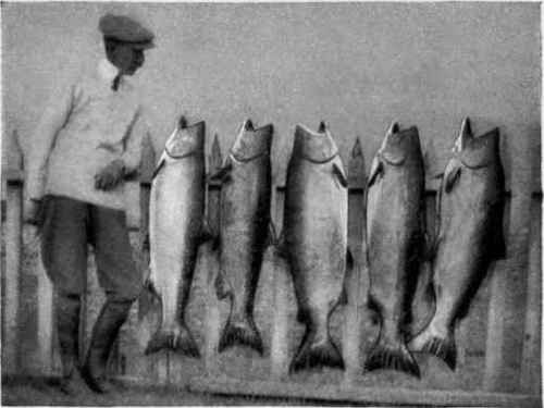 SALMON, TOTAL WEIGHT, 212 POUNDS.