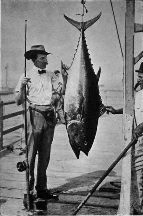TUNA, 156 1/2 POUNDS Time, 12 minutes.