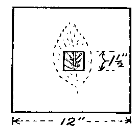 Leaf Identification