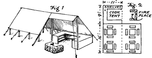 The Use Of Two Flies