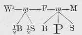 Section I Freeholds 7