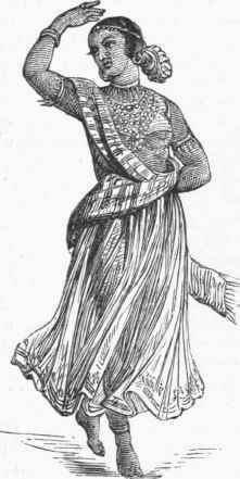 Bayadeer.