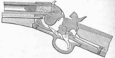 Remington Rim fire Rifle.